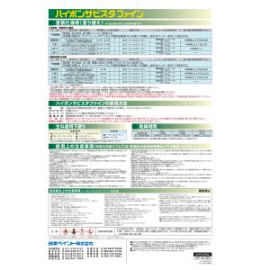 ハイポンサビスタファイン 4kgセット 淡黄色...の詳細画像2