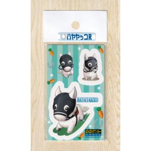 新・おでかけアクスタ（ソダシ白装備） : ぱかぱかしょっぷヤフー店