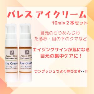 ワールドレップサービス ミネラルKS イオンゲル ゲル状美容液 10g 2個