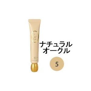 【メール便対象全国送料240円】ファンデーション ゲル ナチュラルオークル 30g　（エバメール ）※数量１個のみ リキッドファンデーションの商品画像