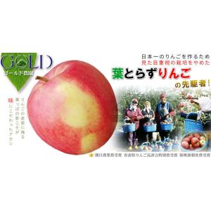 【送料込み】葉とらずふじ 4.5kg以上 (14〜18玉) ゴールド農園 青森県産