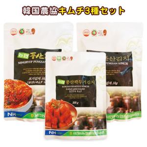 韓国産 チャメ メロン 10kg Mサイズ 甘い サクサク食感 大容量 冷蔵 約