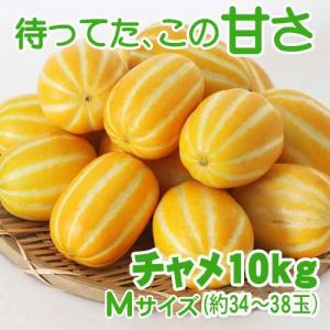 韓国産 チャメ メロン 3玉 Mサイズ 甘い サクサク食感 お試し 少量