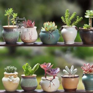 植木鉢 多肉植物鉢 プランター 陶器 おしゃれな植木鉢 鉢 かわいい インテリア 多肉植物 鉢底穴有り 軽量 部屋 オフィス 室内 飾り Int4 癒し館 通販 Yahoo ショッピング