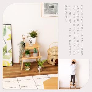 ステップ台 踏み台 木製 高さ48 スツール ...の詳細画像3
