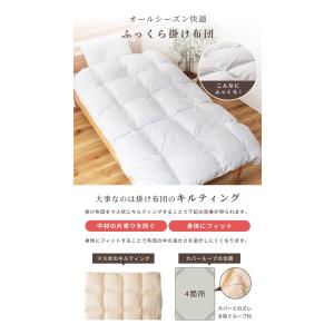布団セット シングル 7点 羽根布団 羽根布団...の詳細画像3