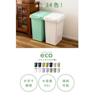 ゴミ箱 45リットル おしゃれ 屋外 分別 ご...の詳細画像1