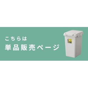 ゴミ箱 45リットル おしゃれ 屋外 分別 キ...の詳細画像2