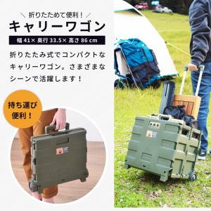 キャリーワゴン キャリーカート 大容量 持ち手...の詳細画像1