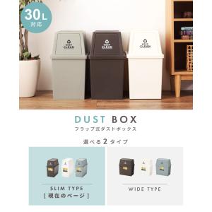 ゴミ箱 30リットル おしゃれ 分別 ごみ箱 ...の詳細画像1