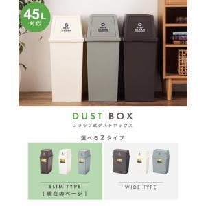 ゴミ箱 45リットル 屋外 おしゃれ 分別 ス...の詳細画像1