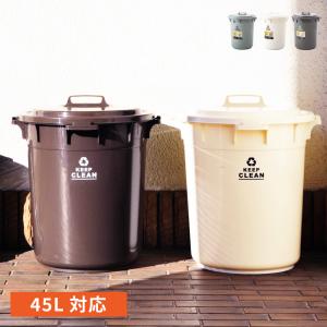 ゴミ箱 45リットル おしゃれ ダストボックス ...の商品画像