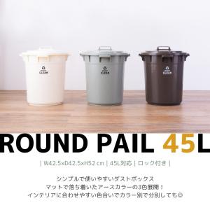 ゴミ箱 45リットル おしゃれ ダストボックス...の詳細画像1