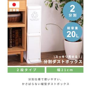 ゴミ箱 10リットル おしゃれ 分別 2段 ご...の詳細画像1