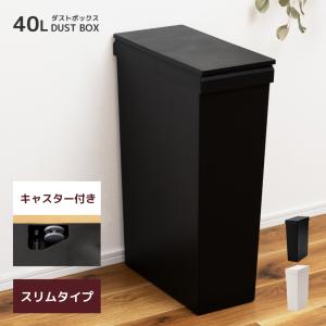 ゴミ箱 45リットル おしゃれ 屋外 分別 ごみ箱 屋外 ダストボックス 蓋付き キッチン 45L フタ付き 縦型 連結可能 シンプル 北欧 コンパクト ブラック ホワイト