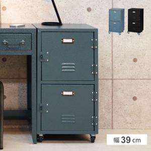 チェスト2D TPN-30BK TPN-30GR 2段 収納 東谷 AZUMAYA キャビネット