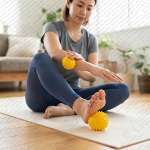 ギムニク 触覚ボール10 2個セット GYMN...の詳細画像3