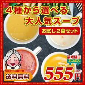 送料無料 さらに美味しくなった 新4種から選べる大人気お試し スープ 2食セット グルメ お取り寄せ 食品 訳あり スープ ポイント消化 食品 お取り寄せ
