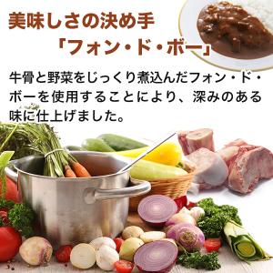 噂のカレー アニオンビーフカレー 4袋 辛口 ...の詳細画像2