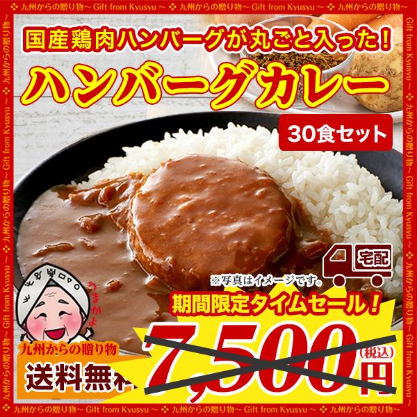 グルメ ご飯のお供 訳あり 国産鶏ハンバーグカレー 30袋  中辛  レトルトカレー 長期保存 常備...