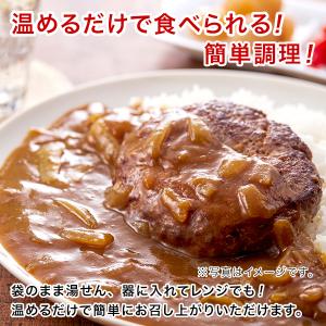 ご飯のお供 訳あり 国産鶏ハンバーグカレー 4...の詳細画像2