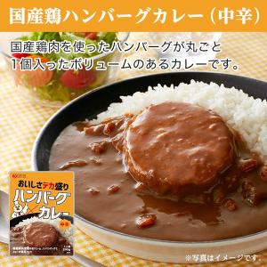 ご飯のお供 訳あり 国産鶏ハンバーグカレー 4...の詳細画像1