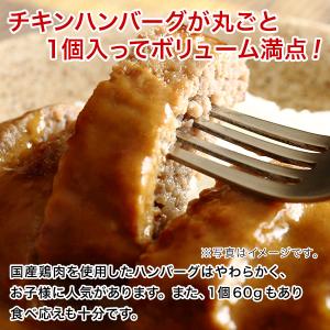 ご飯のお供 訳あり 国産鶏ハンバーグカレー 4...の詳細画像3