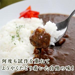 レトルト 博多 欧風黒カレー 4食セット グル...の詳細画像2
