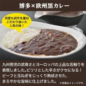 レトルト 博多 欧風黒カレー 4食セット グル...の詳細画像1