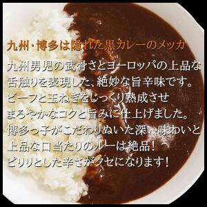 レトルト 博多 欧風黒カレー 4食セット グル...の詳細画像4