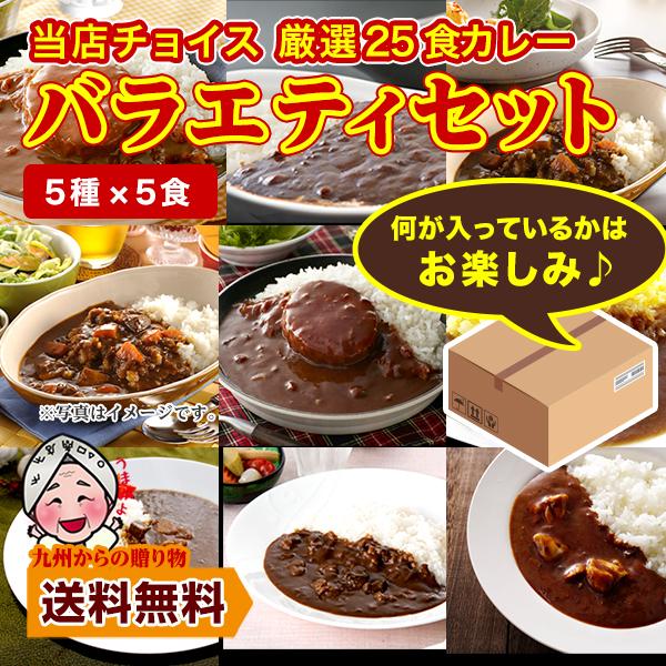 グルメ まとめ買い 当店チョイス 厳選カレー 計25食 バラエティセット ご当地 レトルトカレー 食...