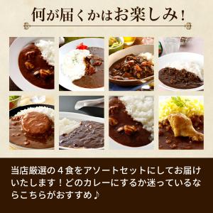 カレー 厳選4食カレー バラエティセット 受験...の詳細画像2