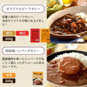 カレー 厳選4食カレー バラエティセット 受験...の詳細画像3