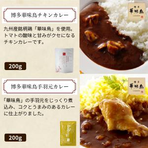 カレー 厳選4食カレー バラエティセット 受験...の詳細画像4