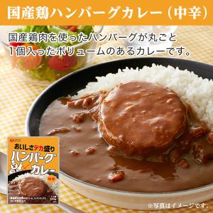 カレー 厳選4食カレー バラエティセット 受験...の詳細画像2