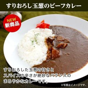 カレー 厳選4食カレー バラエティセット 受験...の詳細画像5