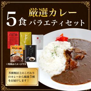 訳あり レトルトカレー 厳選5食カレー 当店人...の詳細画像1
