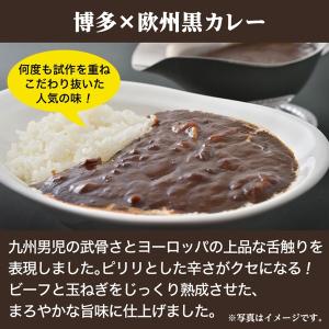 訳あり レトルトカレー 厳選5食カレー 当店人...の詳細画像2