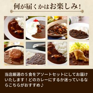 訳あり レトルトカレー 厳選5食カレー 当店人...の詳細画像2