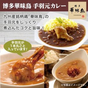 訳あり レトルトカレー 厳選5食カレー 当店人...の詳細画像4