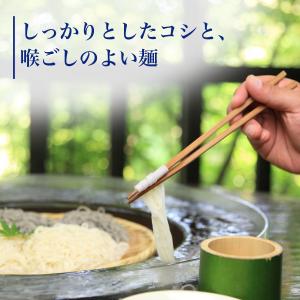 送料無料 伝統の技 長崎 島原伝統 手延べ 素...の詳細画像1