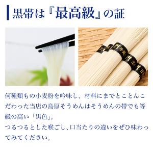 送料無料 伝統の技 長崎 島原伝統 手延べ 素...の詳細画像2
