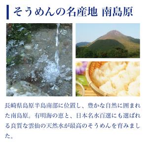 送料無料 伝統の技 長崎 島原伝統 手延べ 素...の詳細画像4