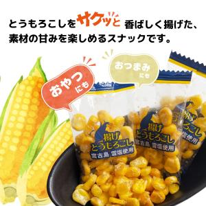 小袋おつまみ 揚げとうもろこし 約165g 塩...の詳細画像2