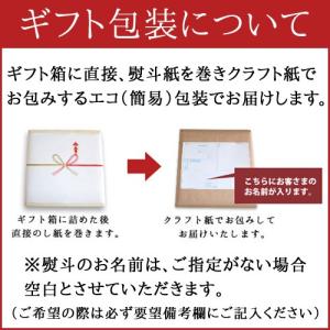 グルメ 送料無料 ギフト 幻の五島うどん (長...の詳細画像1