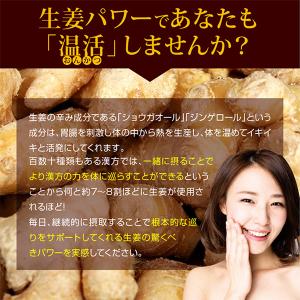 期間限定セール 生姜 長崎県産 しょうが パウ...の詳細画像5
