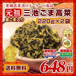 ポイント消化 漬物 金ごま入り 元祖ごま高菜(220g)X2袋