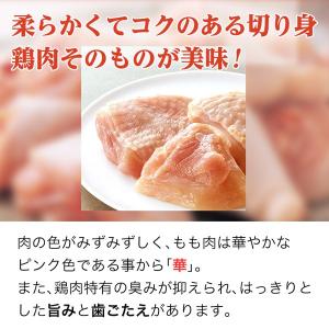 ギフト 水炊き料亭 博多華味鳥 水たきセット(...の詳細画像4