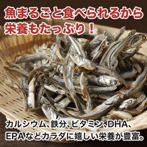 おつまみ 国産味付いりこ 約300g 国産 小...の詳細画像3