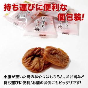 訳あり まろやか 干し梅 約35g 小袋 おつ...の詳細画像4